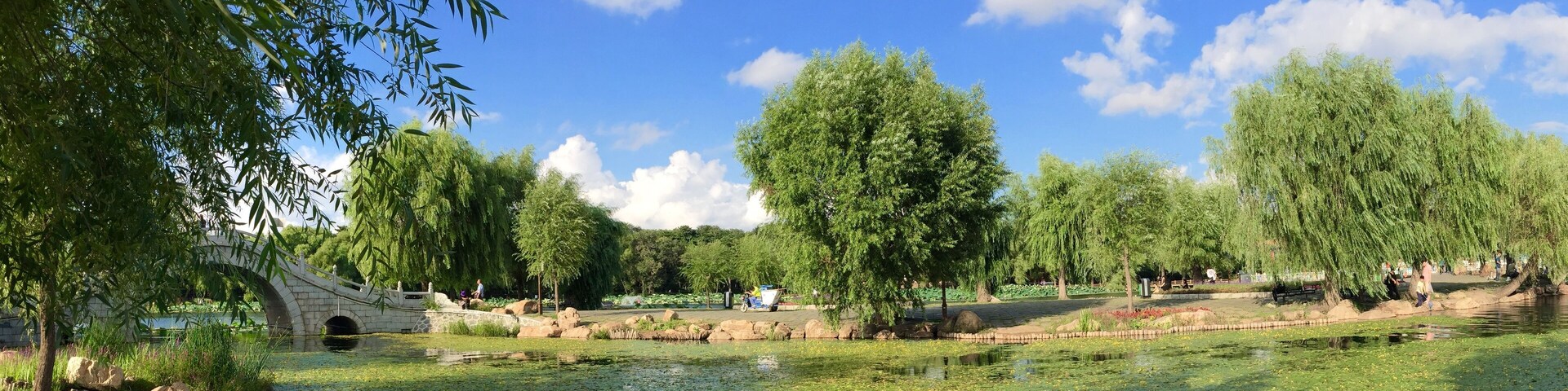 Um parque tranquilo com uma ponte de pedra, um lago com ninféias e vegetação exuberante.