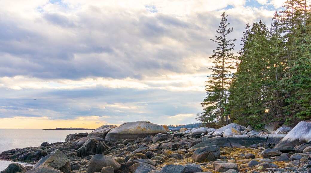 The coastline of Vinalhaven, Maine