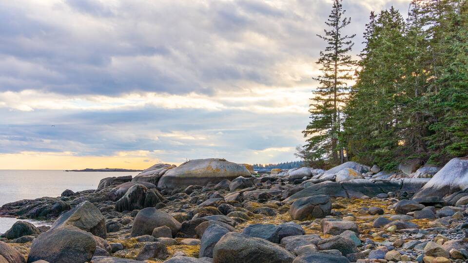 A rocky shoreline with large boulders and trees.