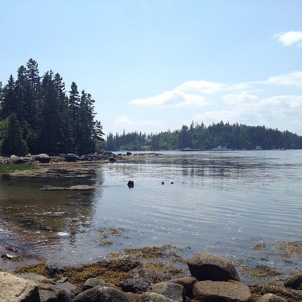 Vinalhaven, Maine
#waterlust 