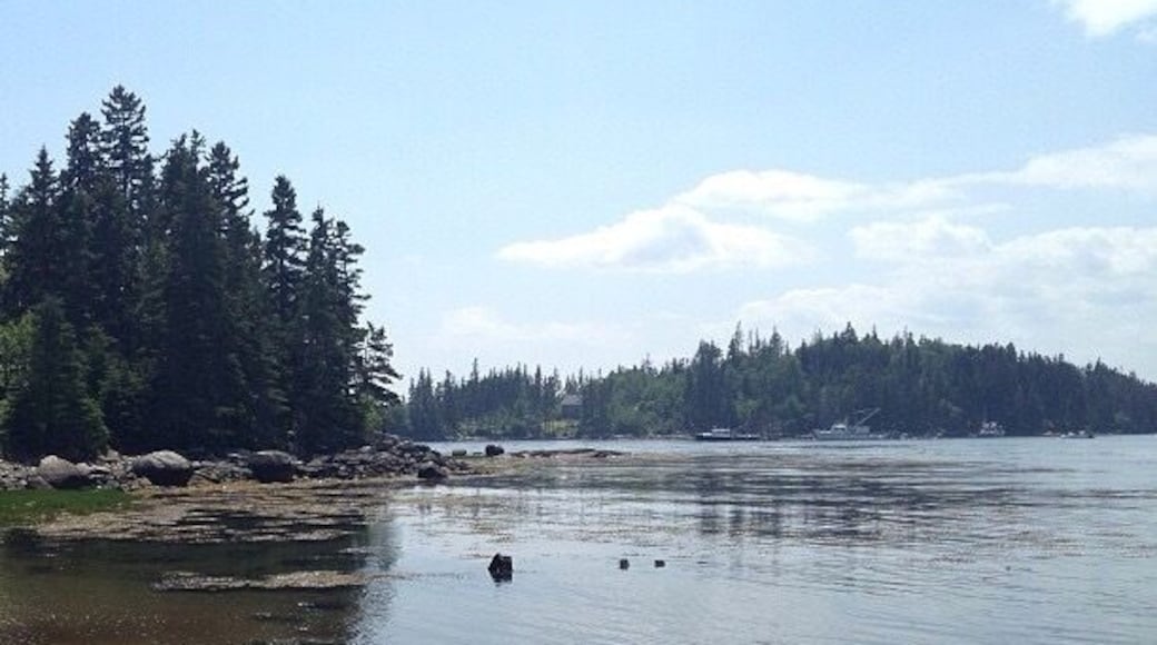 Vinalhaven, Maine
#waterlust