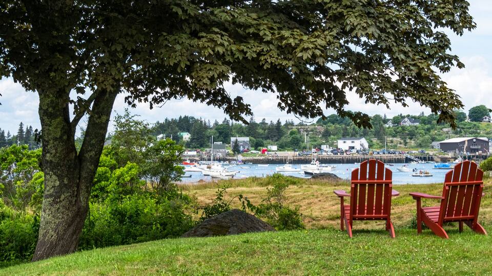 A tree-lined grassy area with two red Adirondack chairs facing a harbor with boats.