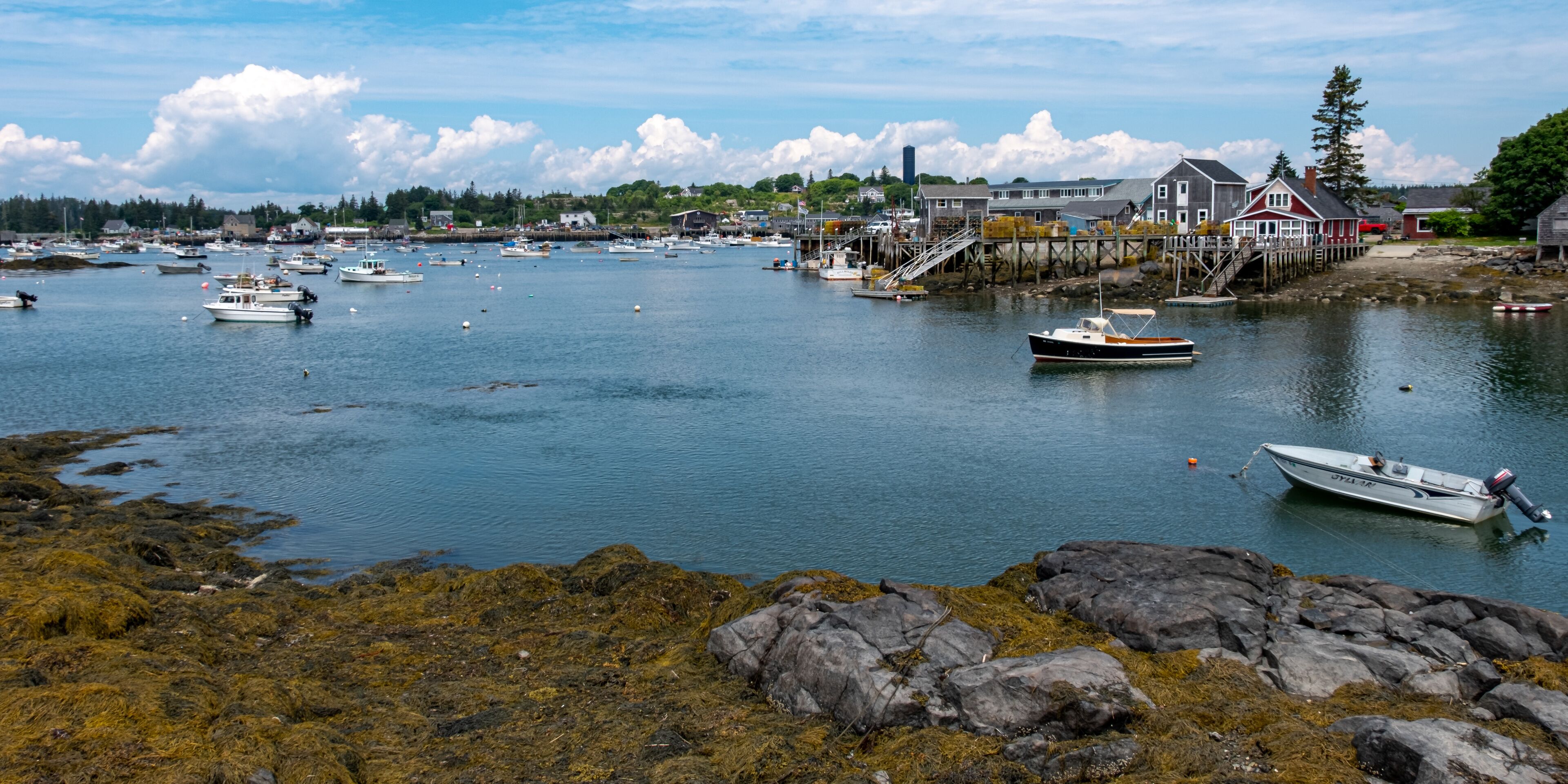 Vinalhaven Harbor 5
