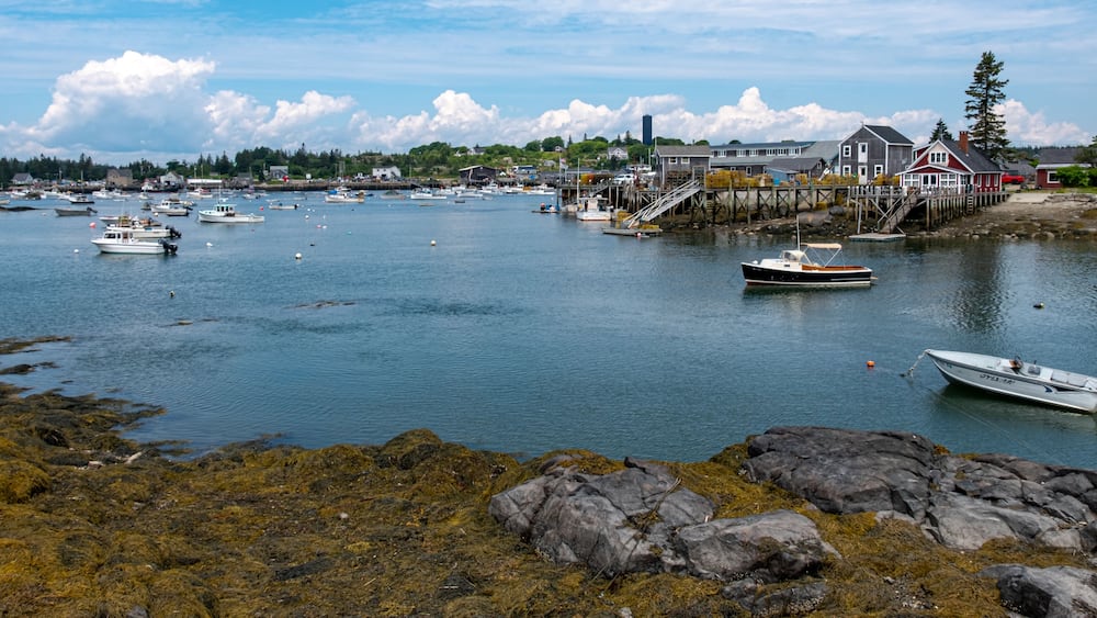 Vinalhaven Harbor 5