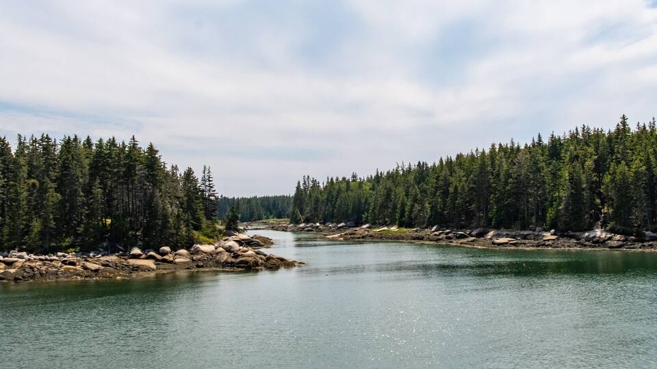 A calm lake surrounded by dense forests and rocky shores.