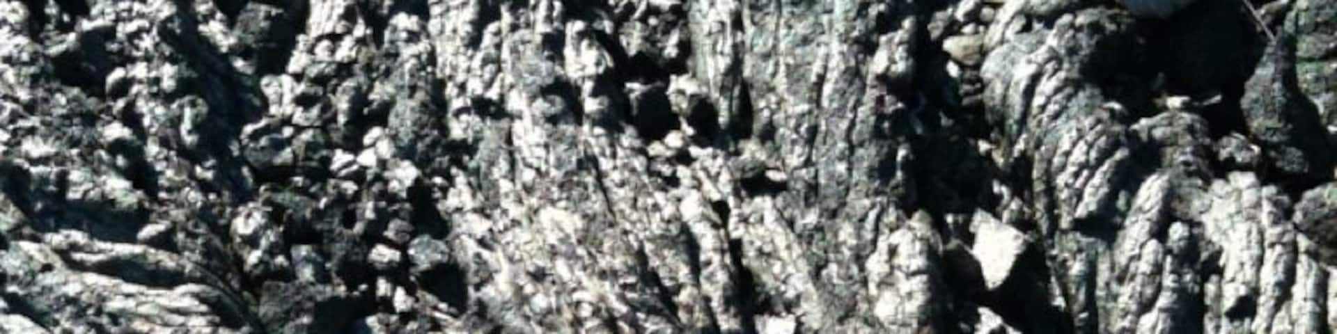 Chain of craters road - the lava is amazing