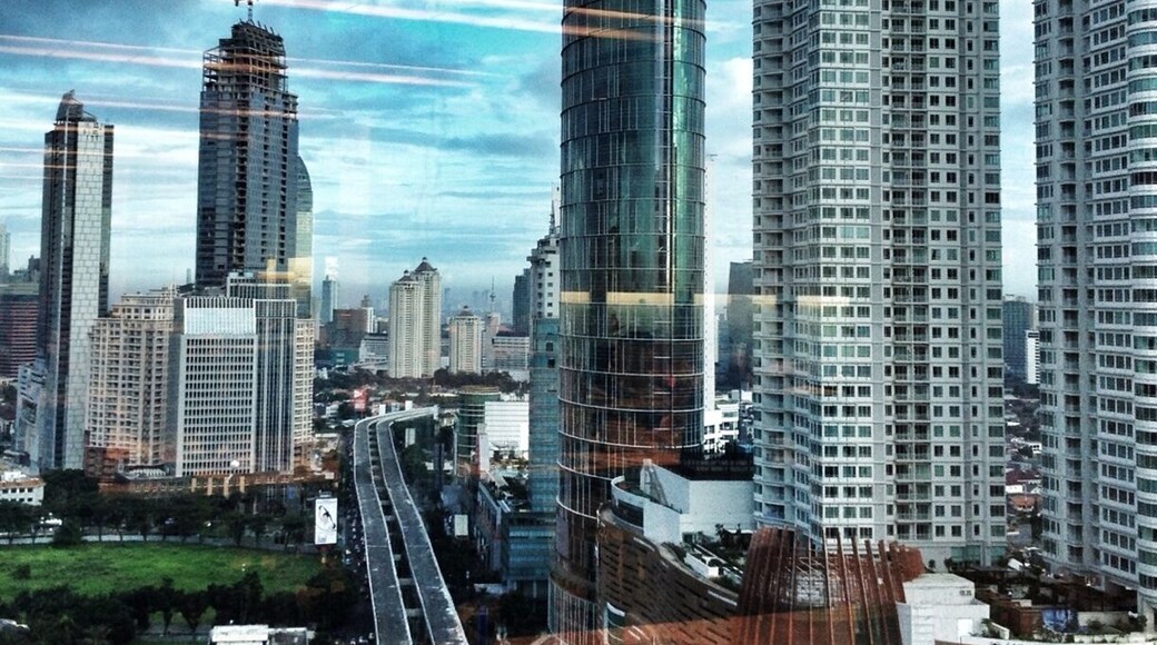 View from the office