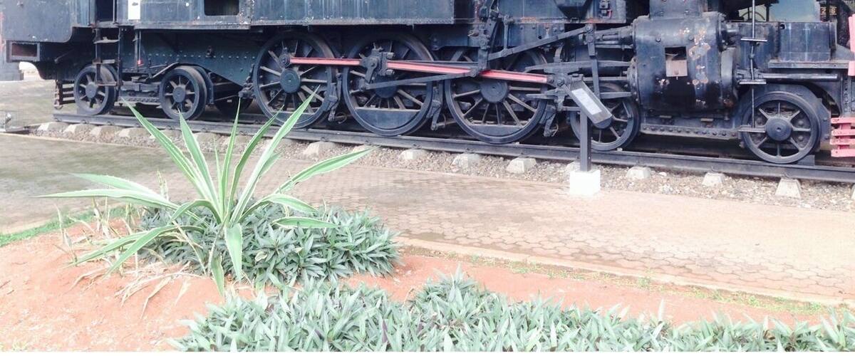 Old train