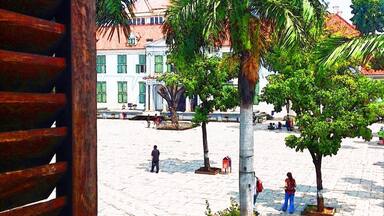 A plaza with palm trees, a white building with green shutters, and people walking.
