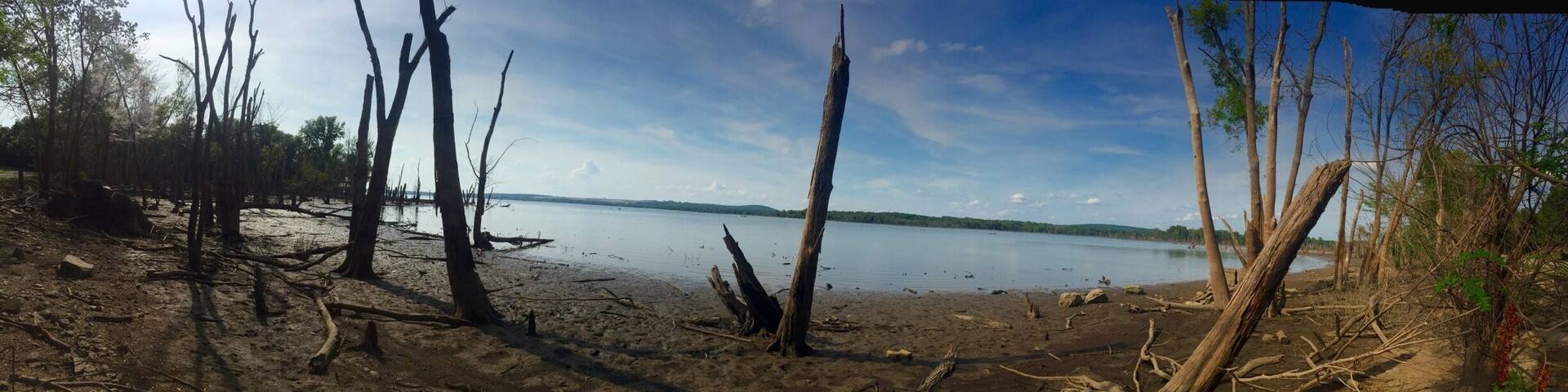 The Sequoyah State Park is a beautiful place to spend an entire weekend! The Fort Gibson Lake is scenic, placid and has activities like boating and fishing. A pic on a lakeside that turned slightly marshy.