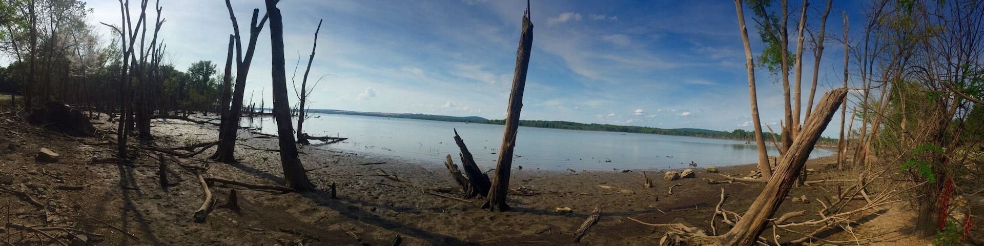 The Sequoyah State Park is a beautiful place to spend an entire weekend! The Fort Gibson Lake is scenic, placid and has activities like boating and fishing. A pic on a lakeside that turned slightly marshy.