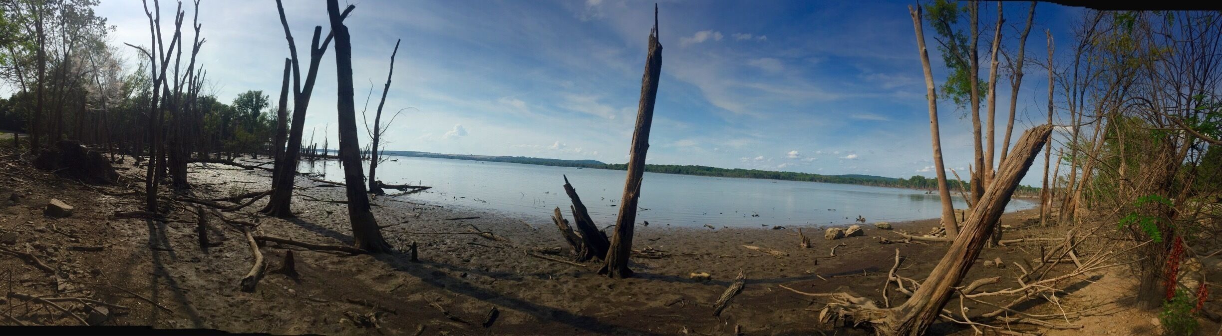 The Sequoyah State Park is a beautiful place to spend an entire weekend! The Fort Gibson Lake is scenic, placid and has activities like boating and fishing. A pic on a lakeside that turned slightly marshy.