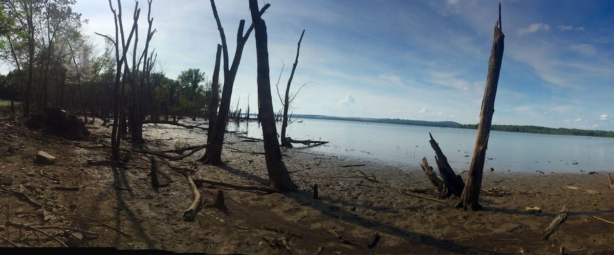 The Sequoyah State Park is a beautiful place to spend an entire weekend! The Fort Gibson Lake is scenic, placid and has activities like boating and fishing. A pic on a lakeside that turned slightly marshy.