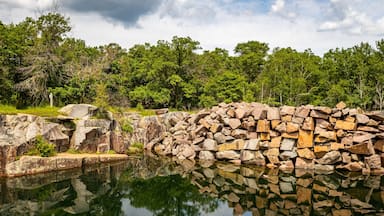 Um lago calmo com margem rochosa e árvores verdes densas ao fundo.