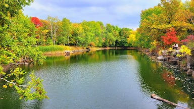 Quarry Park Scientific and Natural Area (SNA) in Waite Park, MN.