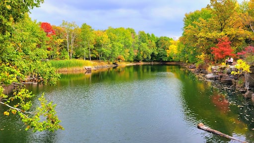 Quarry Park Scientific and Natural Area (SNA) in Waite Park, MN.