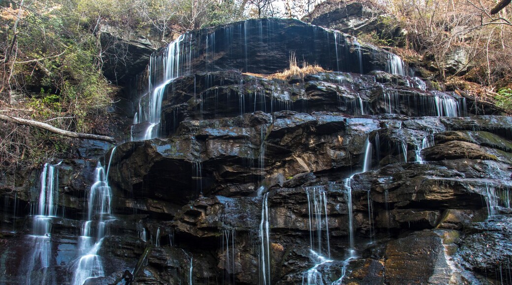 A very cool waterfall that is actually dozens of cascades. Check out a video of it here: https://www.hdcarolina.com/episode/yellow-branch-falls
#Waterfall