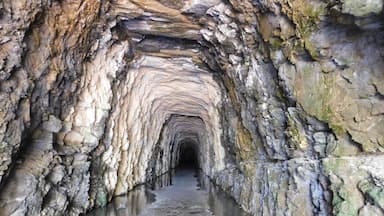 Construction on Stumphouse tunnel began in 1856 when the George Collyer Company of London brought many Irish workers into the area for this project. Many of the workers lived in housing on top of Stumphouse mountain called Tunnel Hill. It is amazing to see this up close.