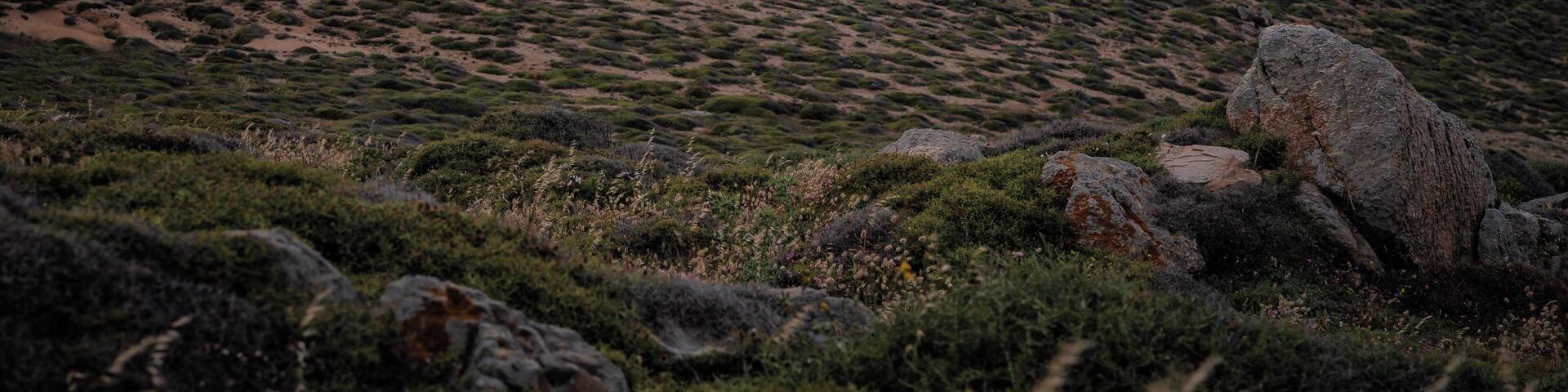 The Armenistis Lighthouse is at the northern and western part of the island above the homonymous cape. Access is easy with asphalt and at the end a very passable dirt road and walking for about 100 meters. The construction of the lighthouse was decided when an English ship was wrecked in the north of the island and lost 11 members of the crew.
The lighthouse was built in 1891. It has a tower of 19 meters and focal height 184 meters. The house next to the lighthouse has several rooms which housed the current lighthouse keepers and often their families. The original mechanism of the lighthouse was of French origin and won the international exhibition in Paris. After the war - 1945 - it worked with petrol until 1982 when it was electrified. Today it is fully automated and the original mechanism is housed in the Aegean Maritime Museum located at the Three Pigadia in Mykonos Town.
The site has wild beauty and offers panoramic views of Tinos, the Aegean Sea and a beautiful sunset in the afternoon.
#Greece #Mykonos #Culture