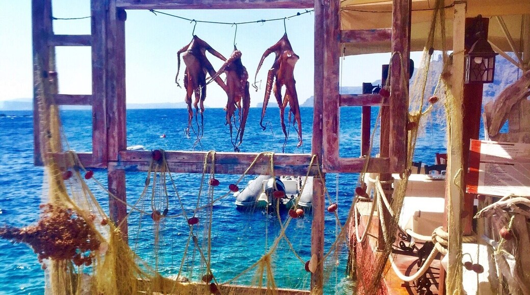 Ammoudi Fish Tavern down in the Bay on Mykonos Island. Freshest seafood meals with beautiful views. #Greece #Seafood #lifeatexpedia