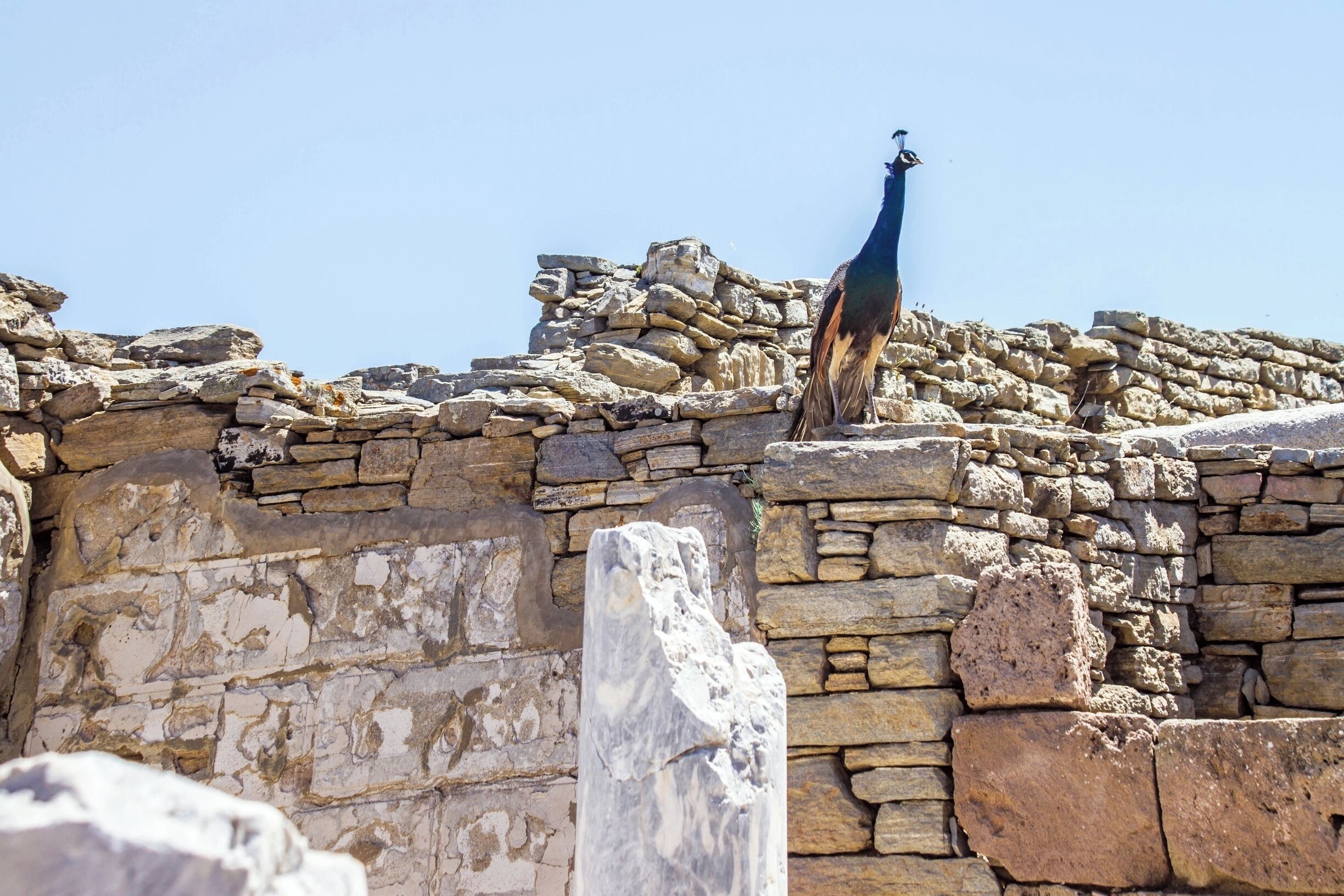 The small rocky islet of Delos is part of the Cyclades and is located a few miles south-west of Mykonos Greece. 

According to mythology, Delos is the birthplace of Apollo, god of music, of true and light, and his twin sister Artemis, goddess of hunting. 