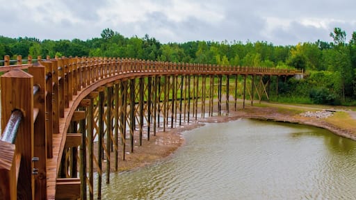 This is a cool new addition to Millennium Park, which features over 1400 acres of trails, a beach, and recreational activities.