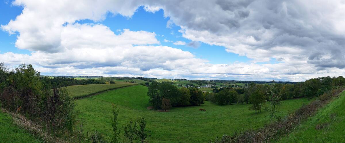 Rolling green hills, scattered trees, and a distant village.