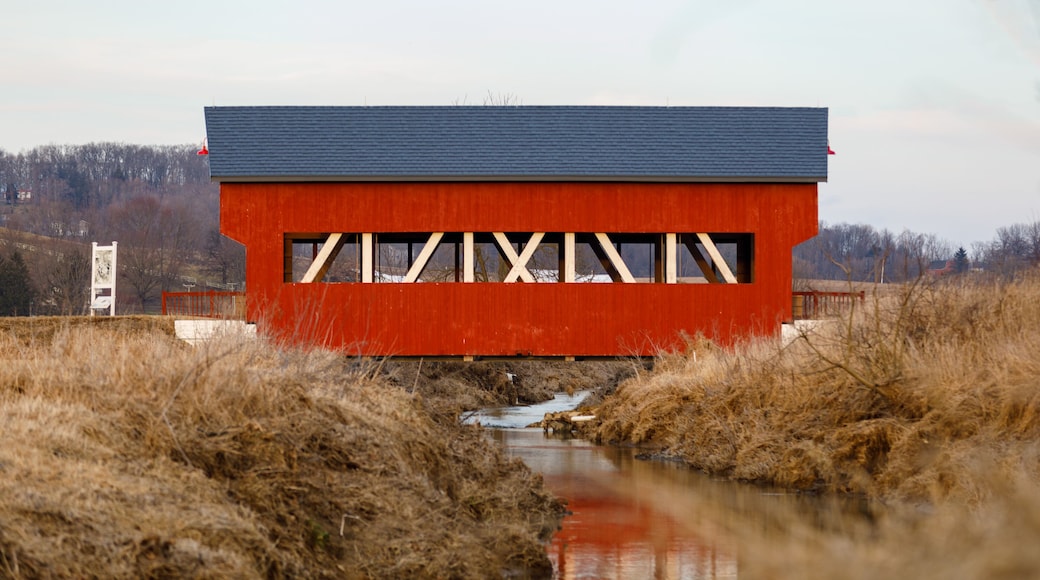 A red bridge over a stream with dry grass on either side.