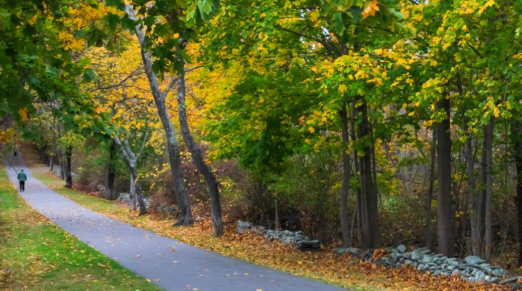 Autumn at Colt State Park Bristol Rhode Island