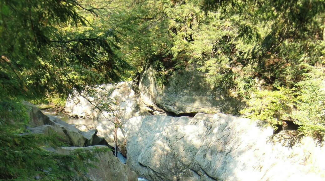 One of the best swimming holes in Vermont. The water was perfectly clear. The rock formations make for gorgeous waterfalls and deep water pools. The smooth rocks make for natural slides. Easy to get to, well marked, excellent parking makes this spot anything but a secret, though it's still worth the stop.