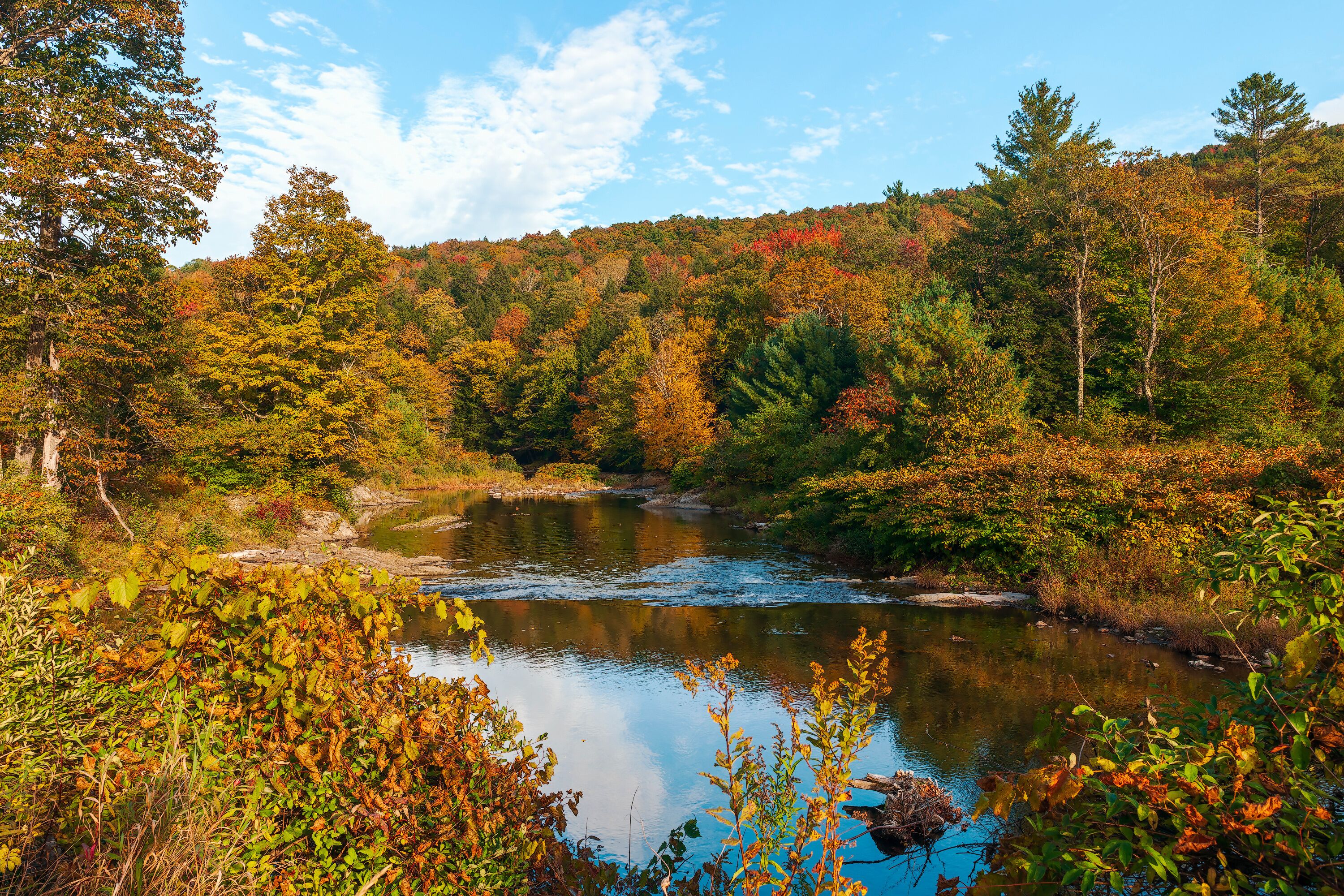 Colorful forest along the Mad river banks.Town of Warren.Washington County.Vermont