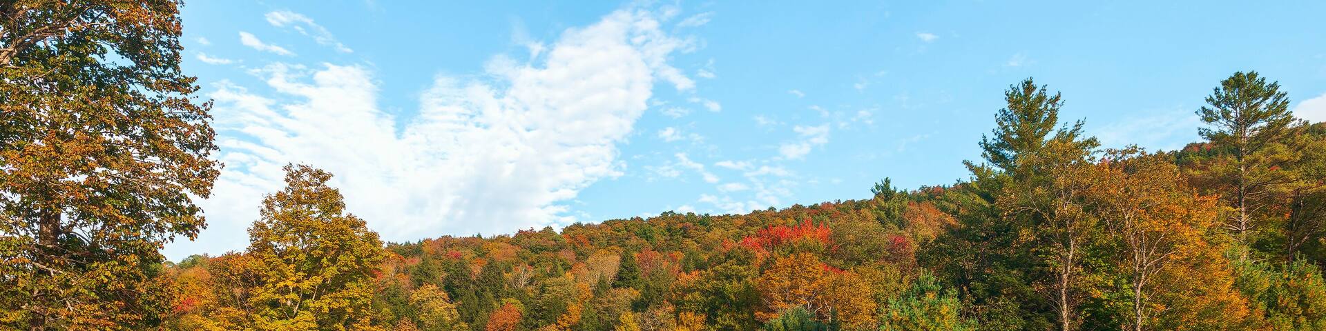 Colorful forest along the Mad river banks.Town of Warren.Washington County.Vermont