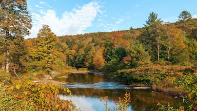 A river surrounded by autumn foliage and a forested hillside.