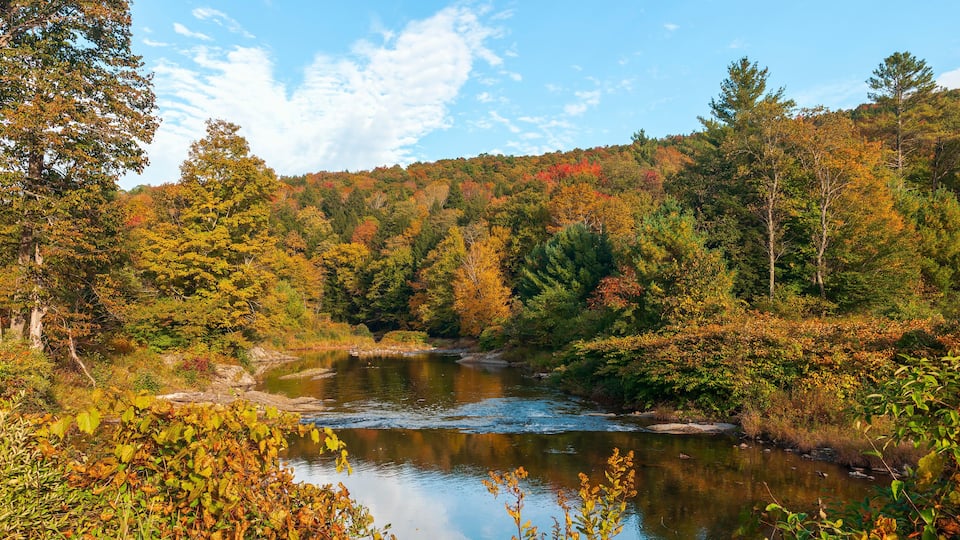 A river surrounded by autumn foliage and a forested hillside.