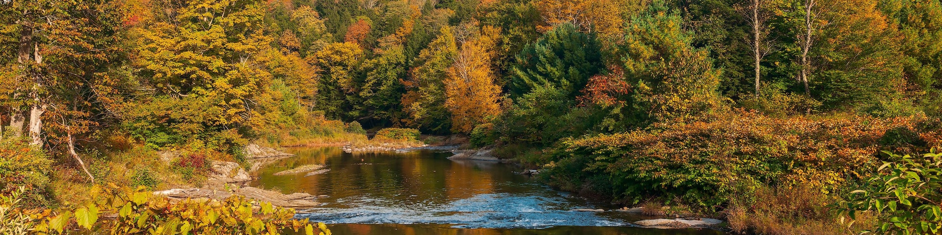 Colorful forest along the Mad river banks.Town of Warren.Washington County.Vermont
