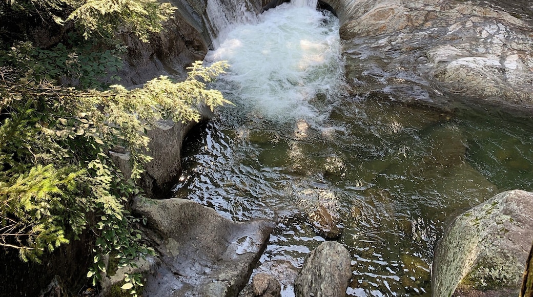 Cool swim at Warren Falls,Vt