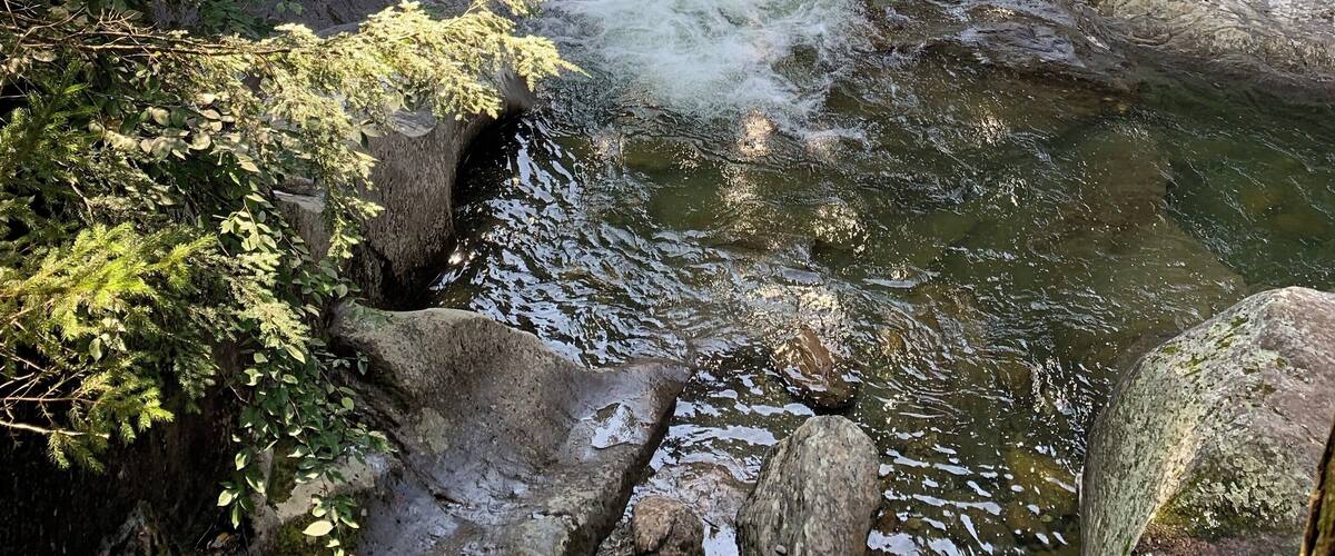 Cool swim at Warren Falls,Vt