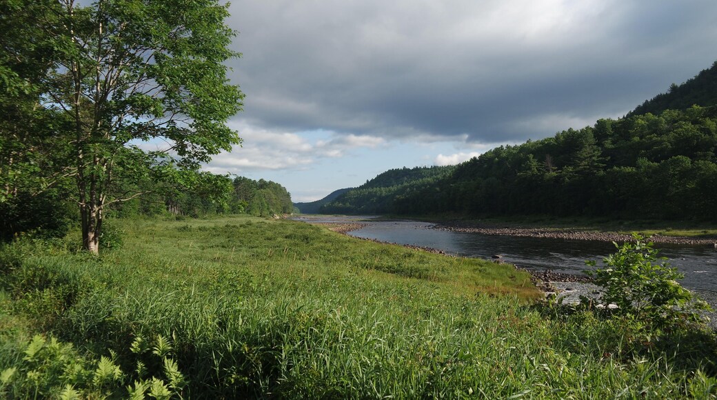 GF0Y54 The Upper Hudson River in summer. Warrensburg, NY.