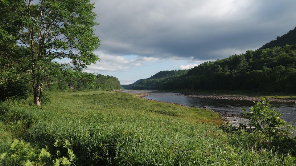 A river flowing through a lush green landscape with dense forests on both sides.