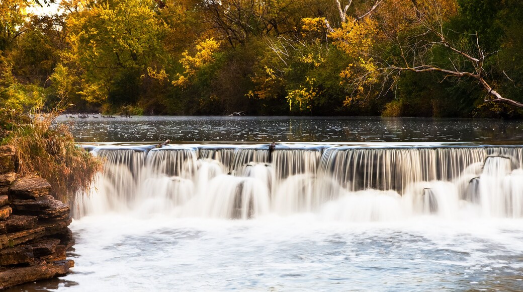 Autumn color along the banks of the DuPage River