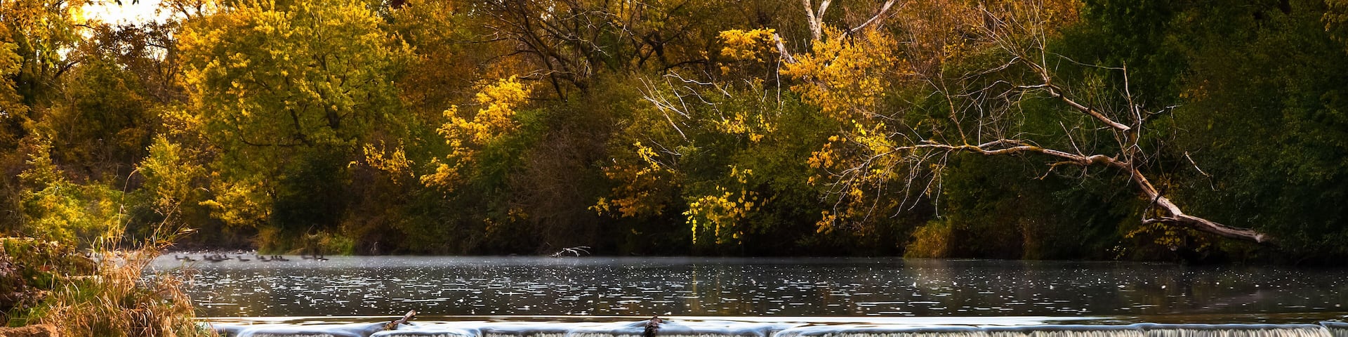Autumn color along the banks of the DuPage River