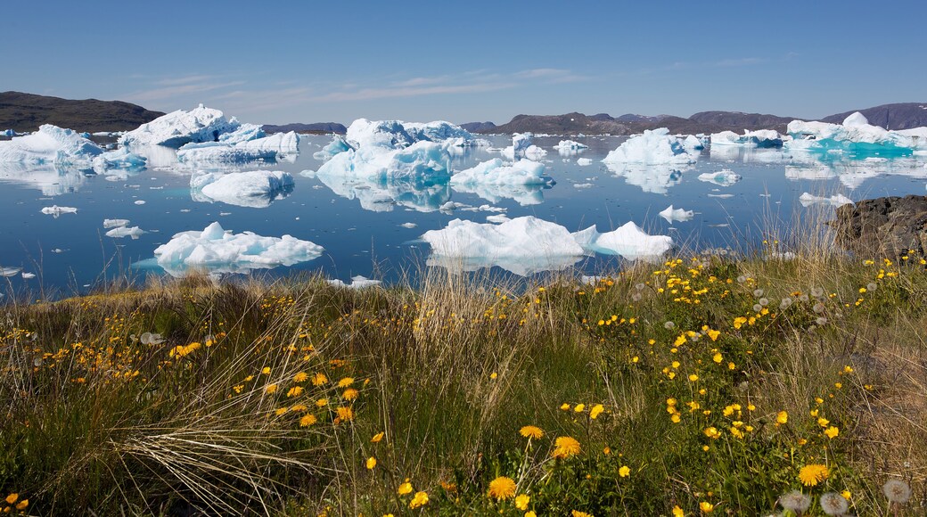 Beautiful view of icebergs floating by Narsaq city in South Greenland