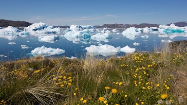 A landscape with icebergs floating in a body of water and yellow flowers in the foreground.