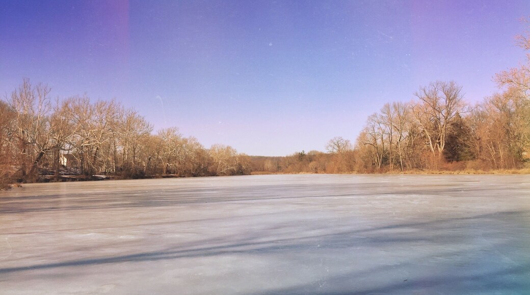 Frozen Lake in Washington Crossing. #snow