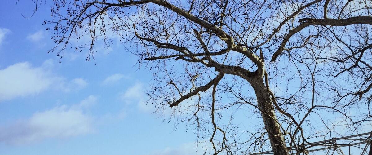 They crossed the Delaware right here...