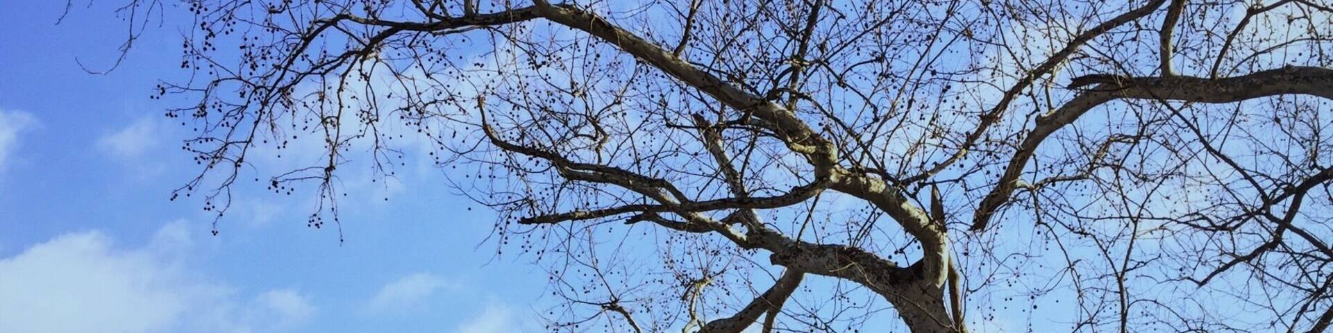 They crossed the Delaware right here...