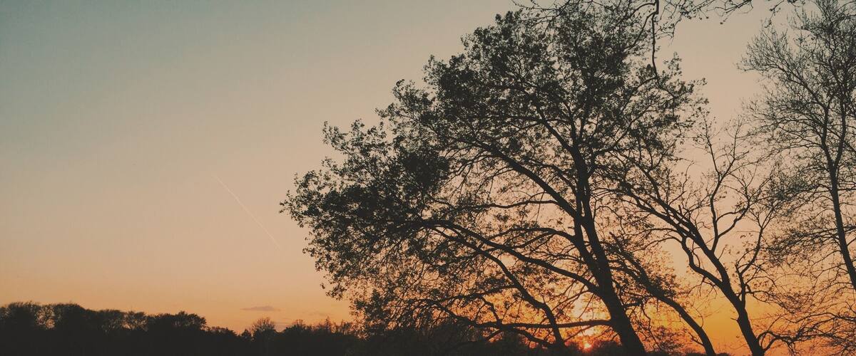 Sunset by the River
#river #sunset #goldenhour