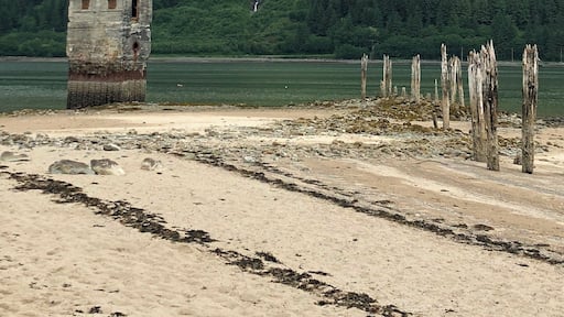 Old pump house at the Treadwell mine in Juneau AK. Lot's of exploring to do here, especially if you're an old gold mining buff. #lifeatexpedia