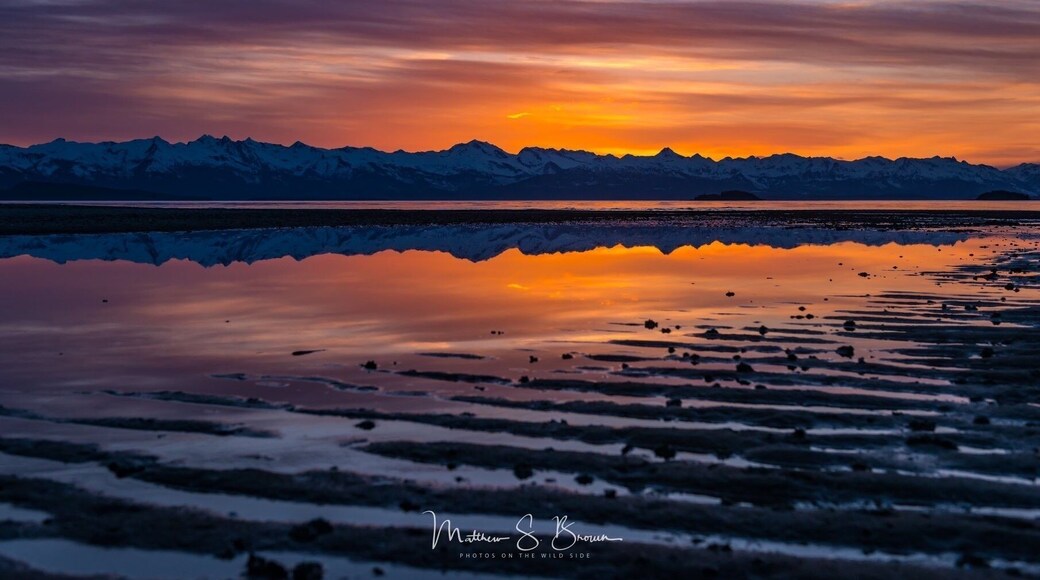 The magnificently lit Chilkat Range! #adventure