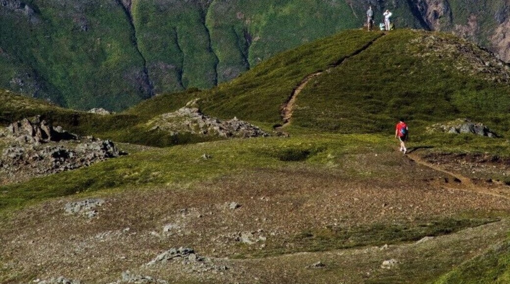 Take the Mt. Roberts tramway in Juneau, then hike a few miles uphill. You'll be rewarded not just with great views of Juneau and the Gastineau Channel, but also the mountains, waterfalls, and glaciers on the far side of the ridge behind the city.
